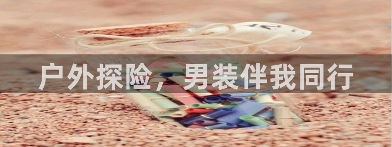 先锋电子旗下先锋娱乐