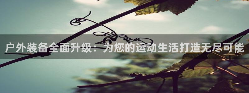 先锋娱乐股票