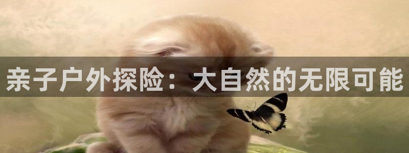 先锋娱乐简介图片