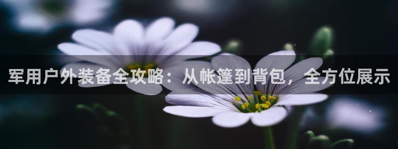 网上炸金花先锋娱乐