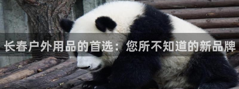 先锋娱乐大厅平台