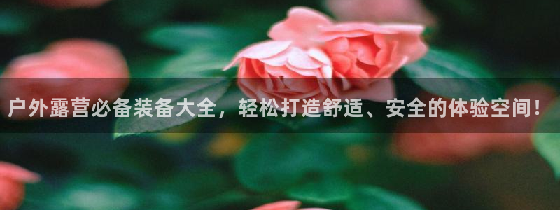 娱乐急先锋全集下载