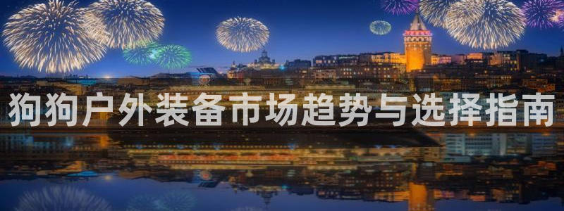 先锋娱乐官