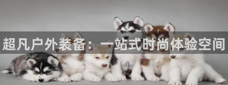先锋综合娱乐