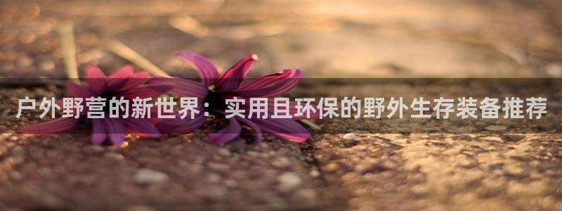 先锋娱乐官网