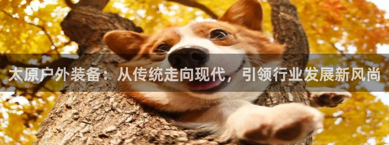 先锋娱乐管理集团怎么样