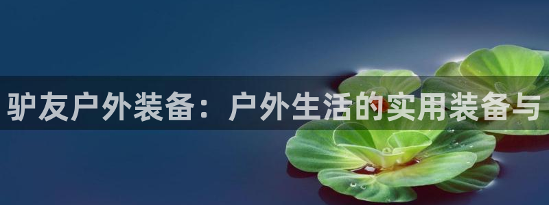 先锋娱乐官网