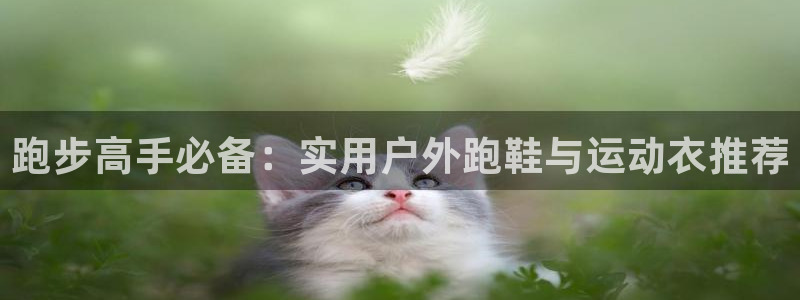 先锋娱乐体育
