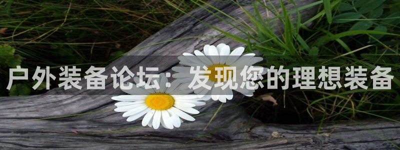 先锋娱乐管理集团