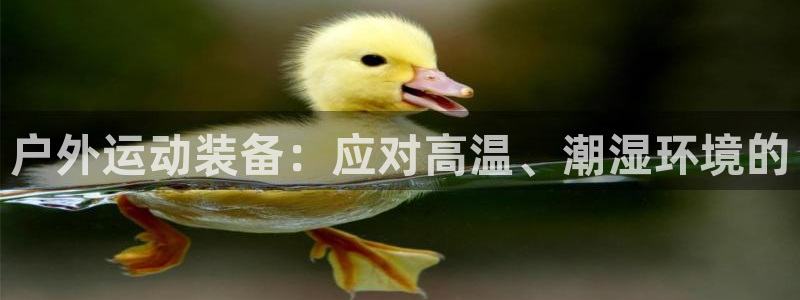 吉林先锋娱乐