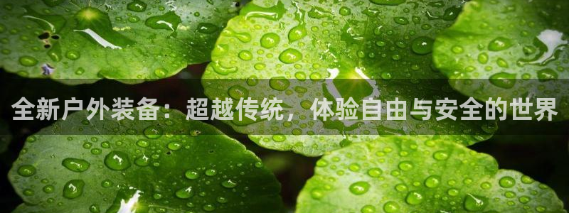 先锋娱乐系统