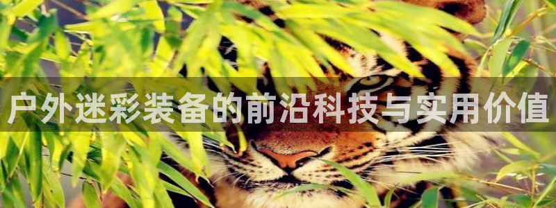 先锋娱乐属于违法吗