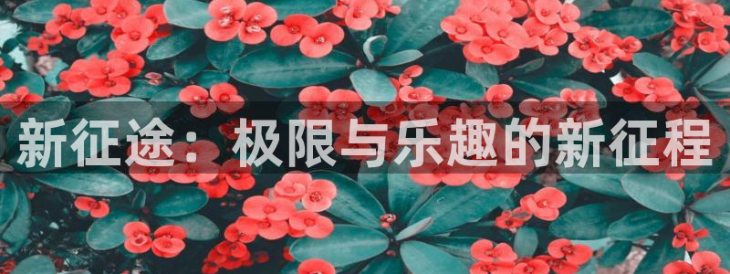 先锋娱乐股票