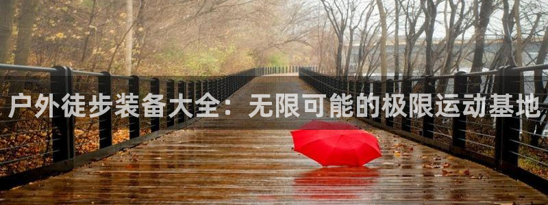 先锋电子旗下先锋娱乐