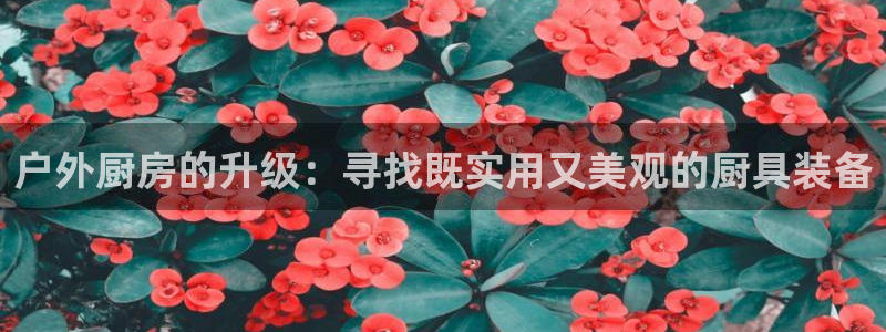 亚洲先锋娱乐行情
