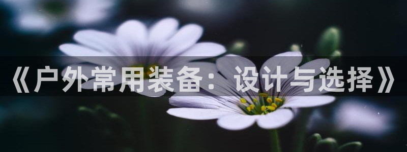 先锋互动娱乐