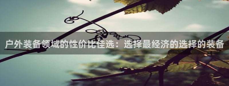 先锋娱乐大厅透视