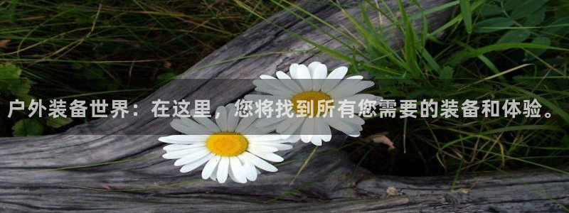 先锋娱乐游戏大厅下载