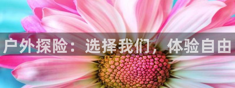 先锋娱乐在哪下载