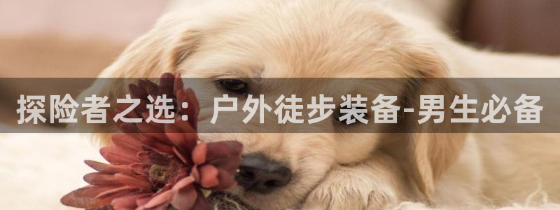 贵州先锋娱乐