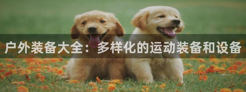 先锋娱乐团