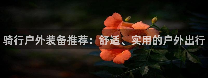 先锋娱乐游戏上分