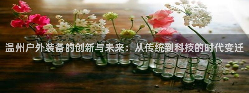 先锋娱乐垫付金额