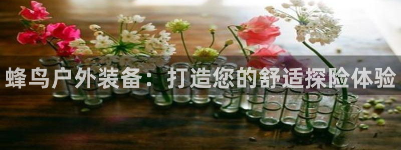 先锋方舟娱乐集团
