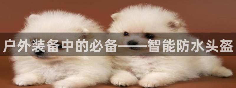 娱乐急先锋全集下载