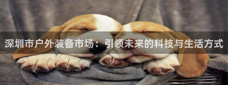 怎么下载先锋娱乐大厅
