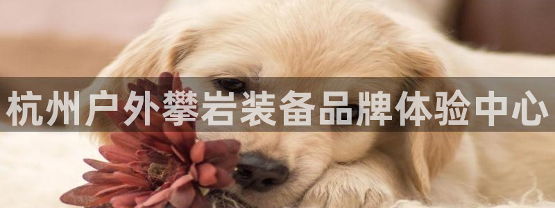 先锋娱乐在哪下载