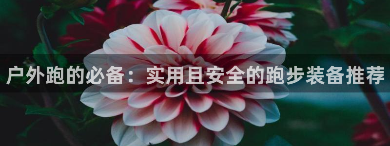 先锋娱乐集团公司