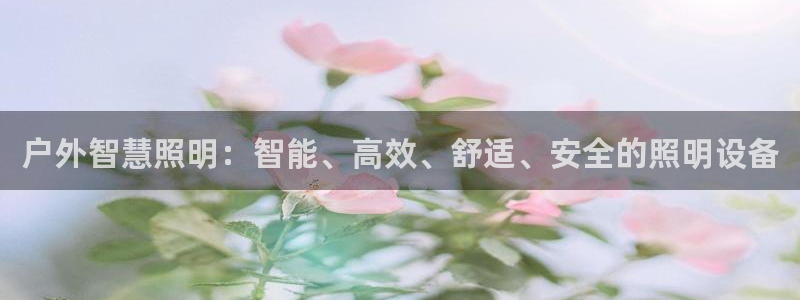 先锋娱乐集团公司