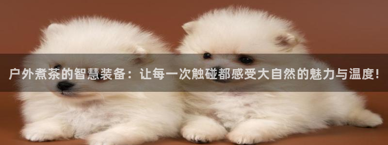 先锋娱乐系统