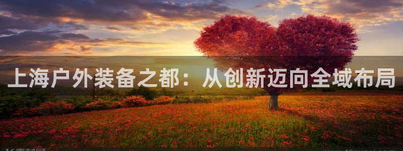 先锋娱乐理财