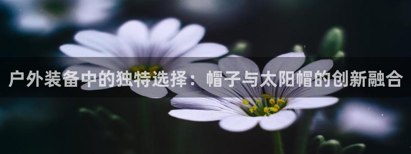 先锋娱乐注册
