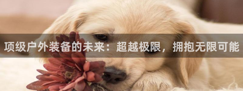 吉林先锋娱乐