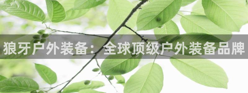 先锋娱乐体育管理集团