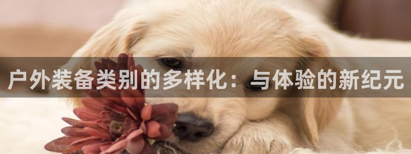 先锋娱乐游戏大厅下载