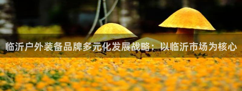 先锋娱乐管理集团招聘