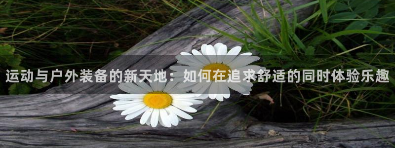 娱乐急先锋全集下载