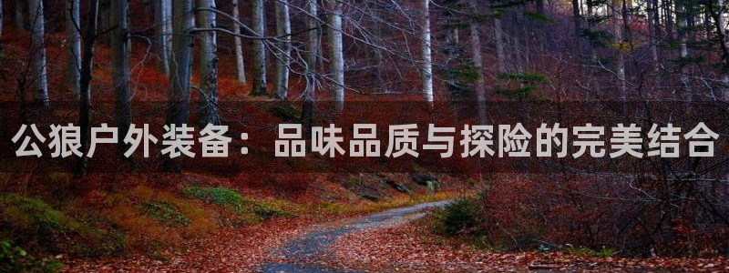 先锋娱乐币