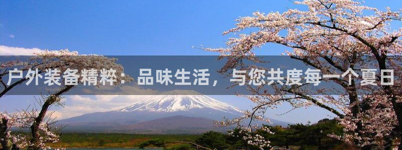 先锋娱乐股票
