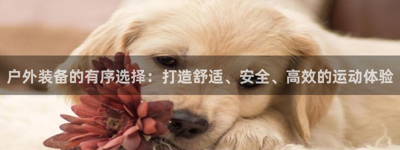 先锋娱乐公司