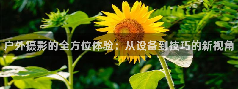 先锋娱乐科技