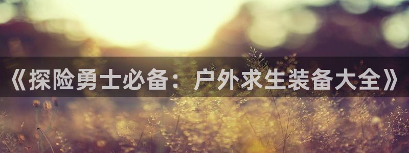 先锋支付娱乐城