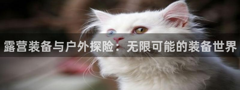 大连先锋娱乐
