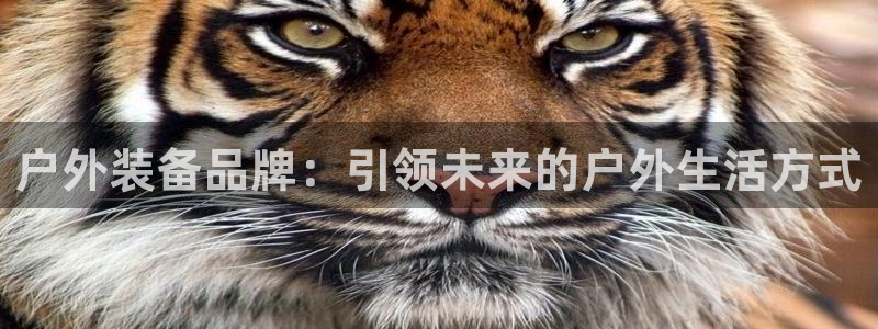 先锋娱乐传媒
