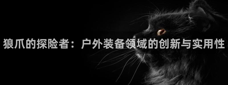 先锋娱乐资讯