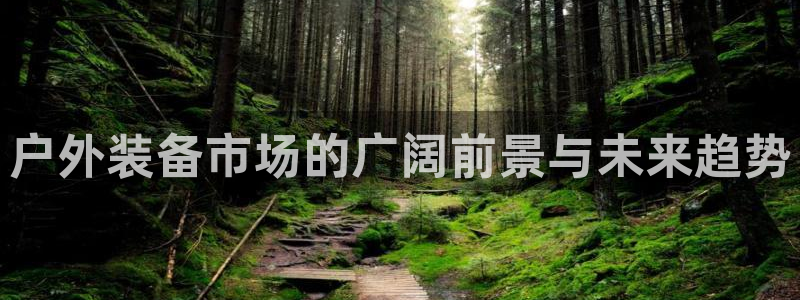 先锋综合娱乐